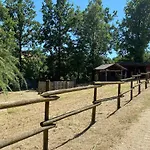 Casa vacanze Charming Italian Sleeps 14 *
