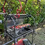 Charming Italian Sleeps 14 *