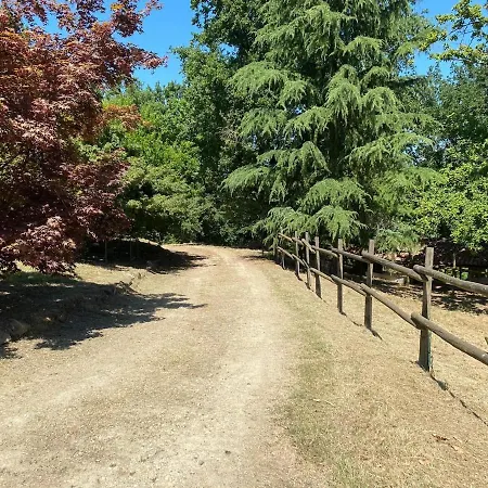 Charming Italian Sleeps 6 *